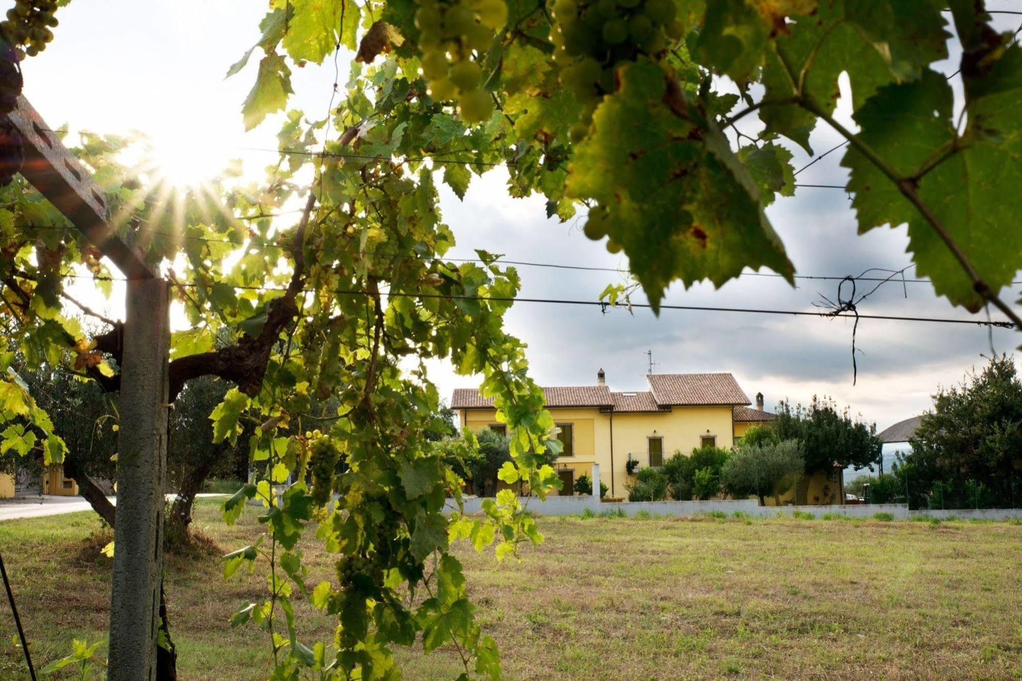 Agriturismo Il Casolare Di Nonno Mario Manoppello Εξωτερικό φωτογραφία
